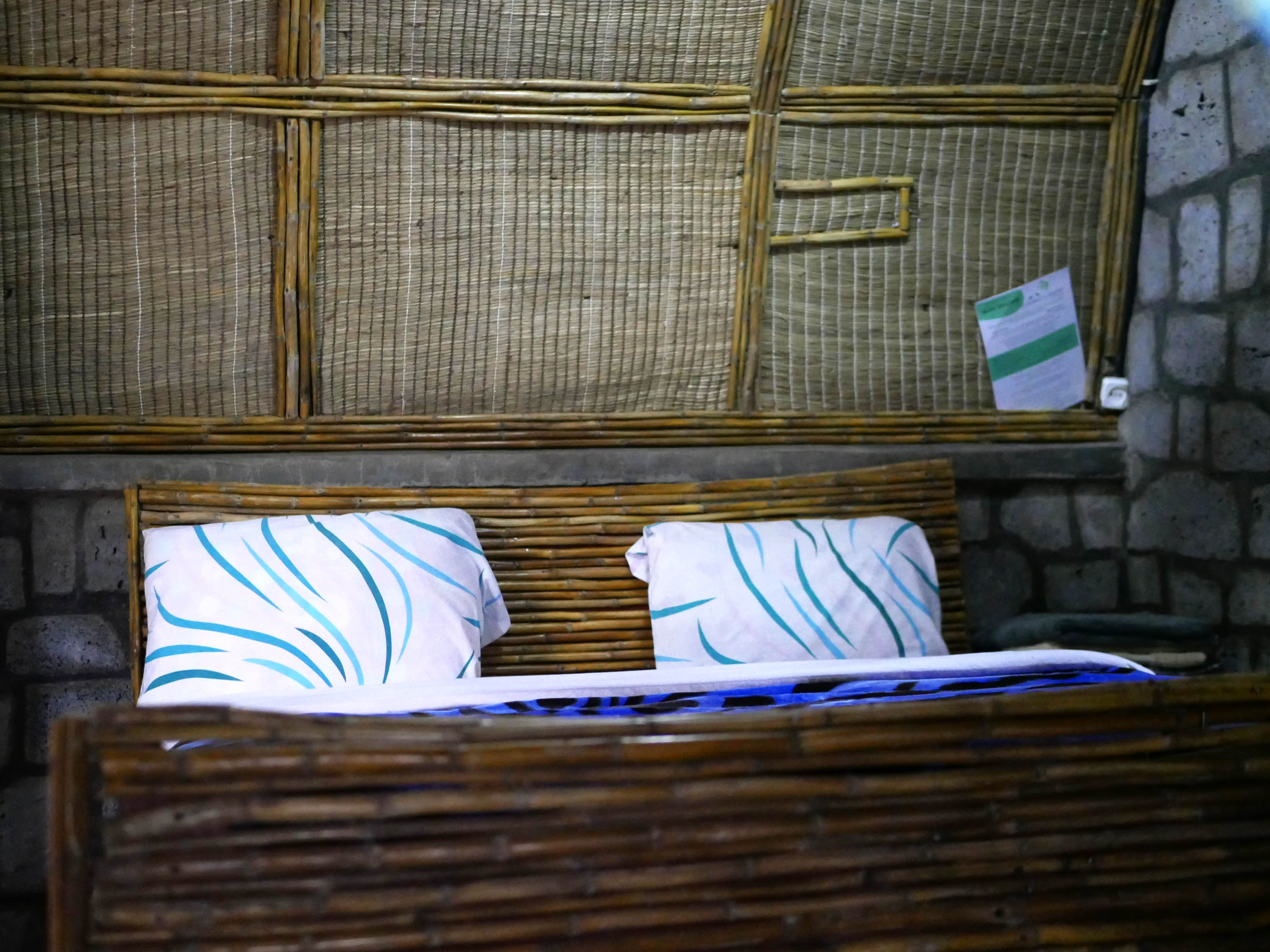 Isandi - Black headed weaver bird - Eco-Friendly Room at Fravan