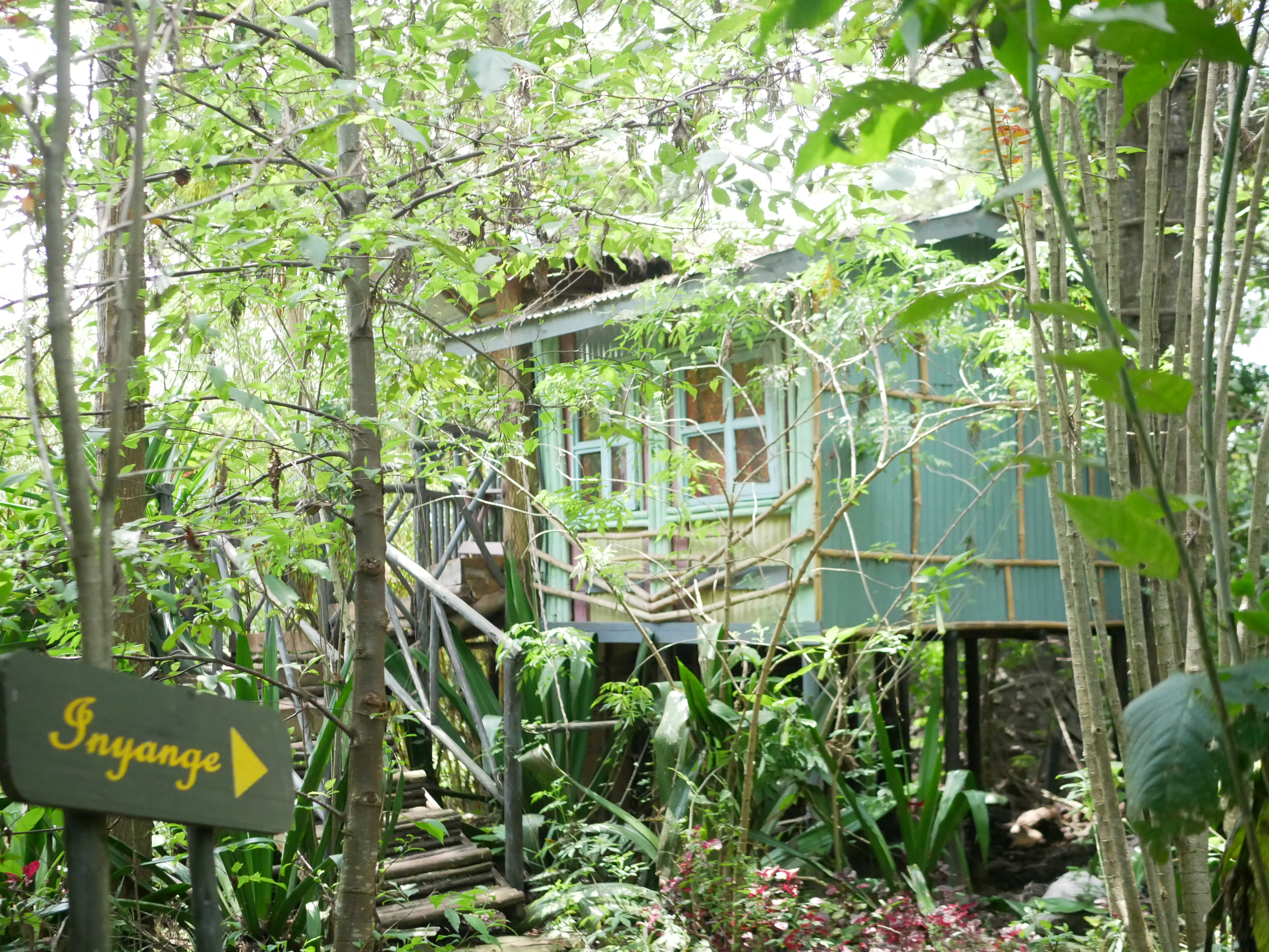 Inyange Tree House - Eco-Friendly Room at Fravan