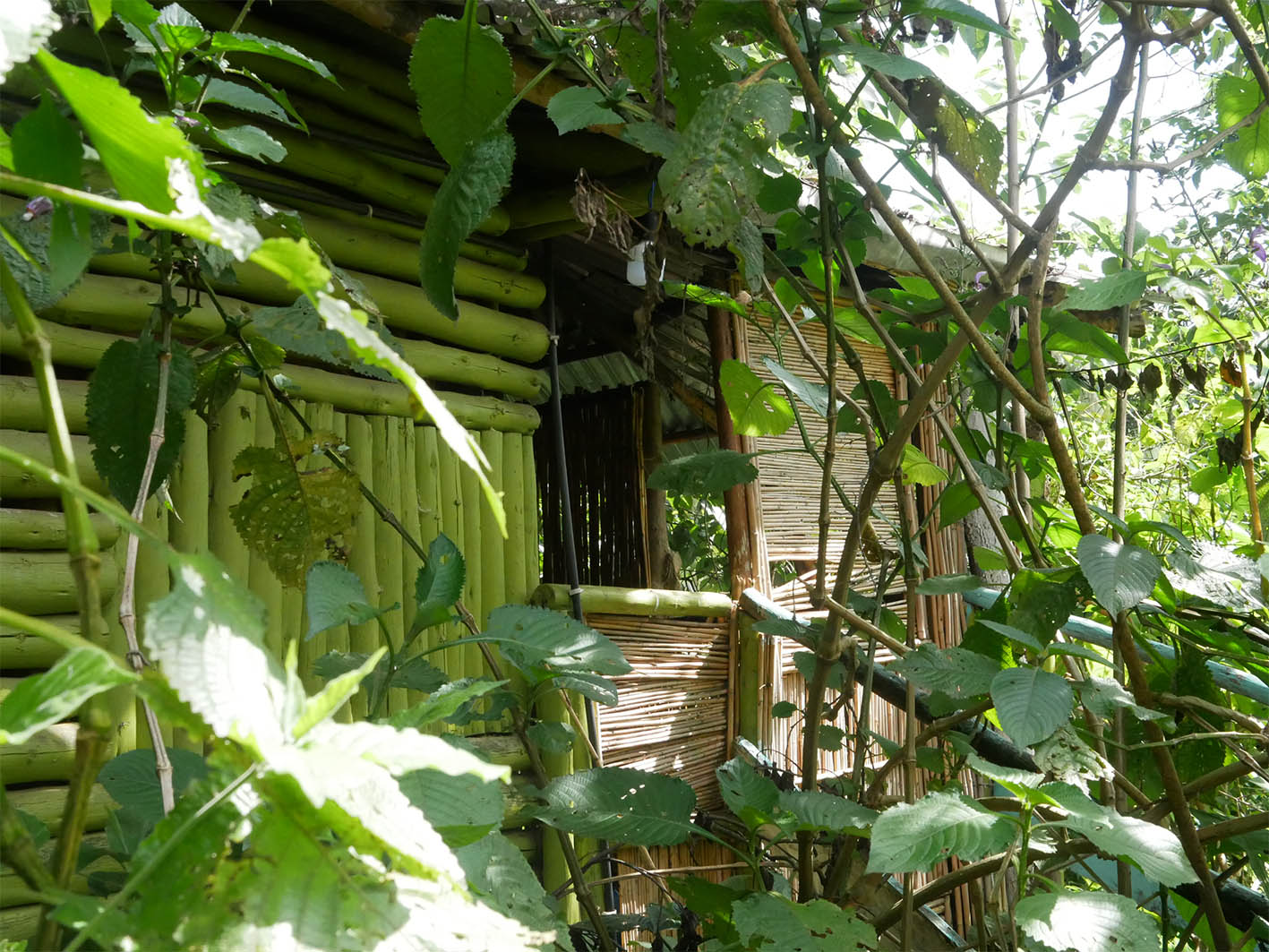 Musanze Cheapest hotel and lodge