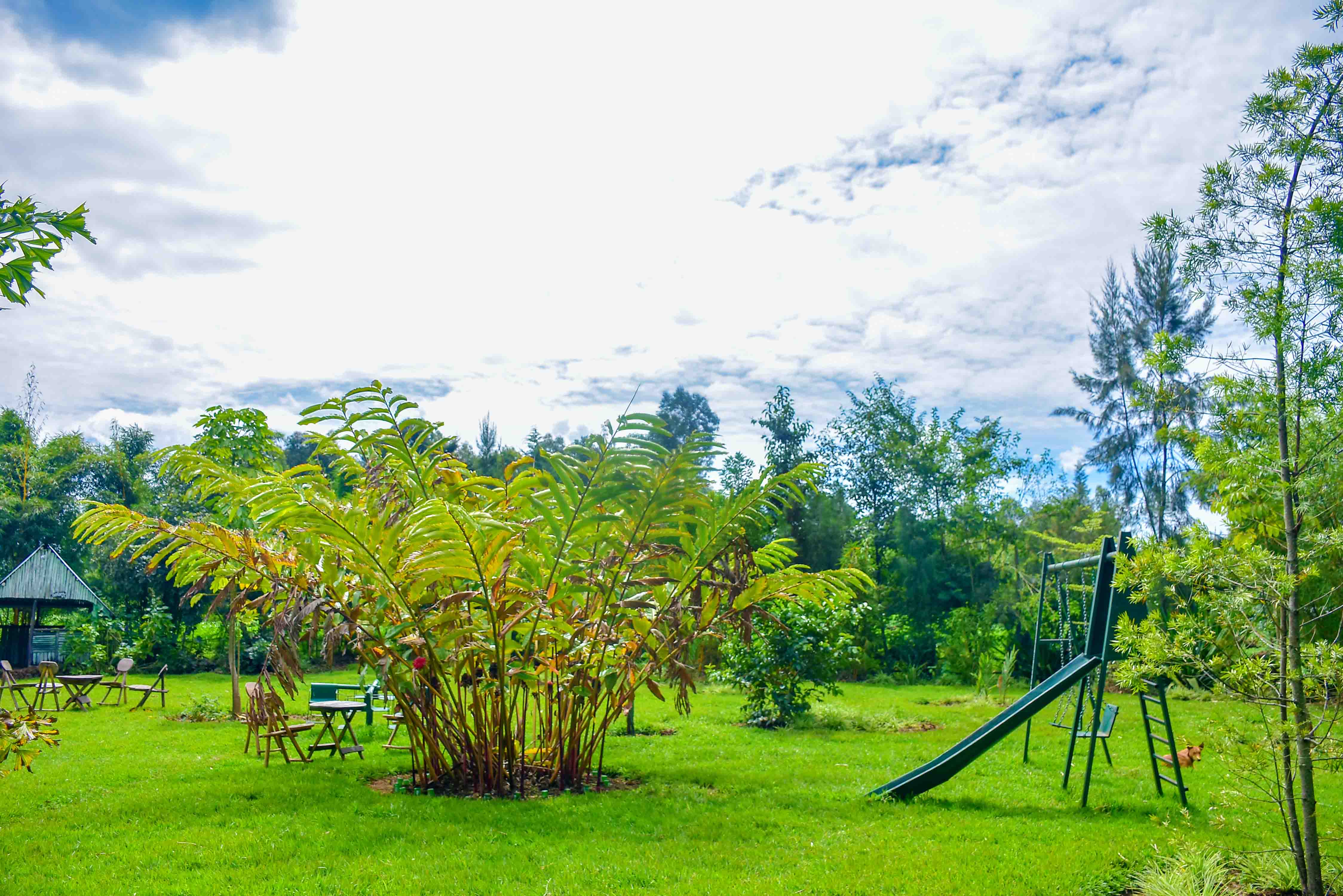 Fravan Eco Resort garden view