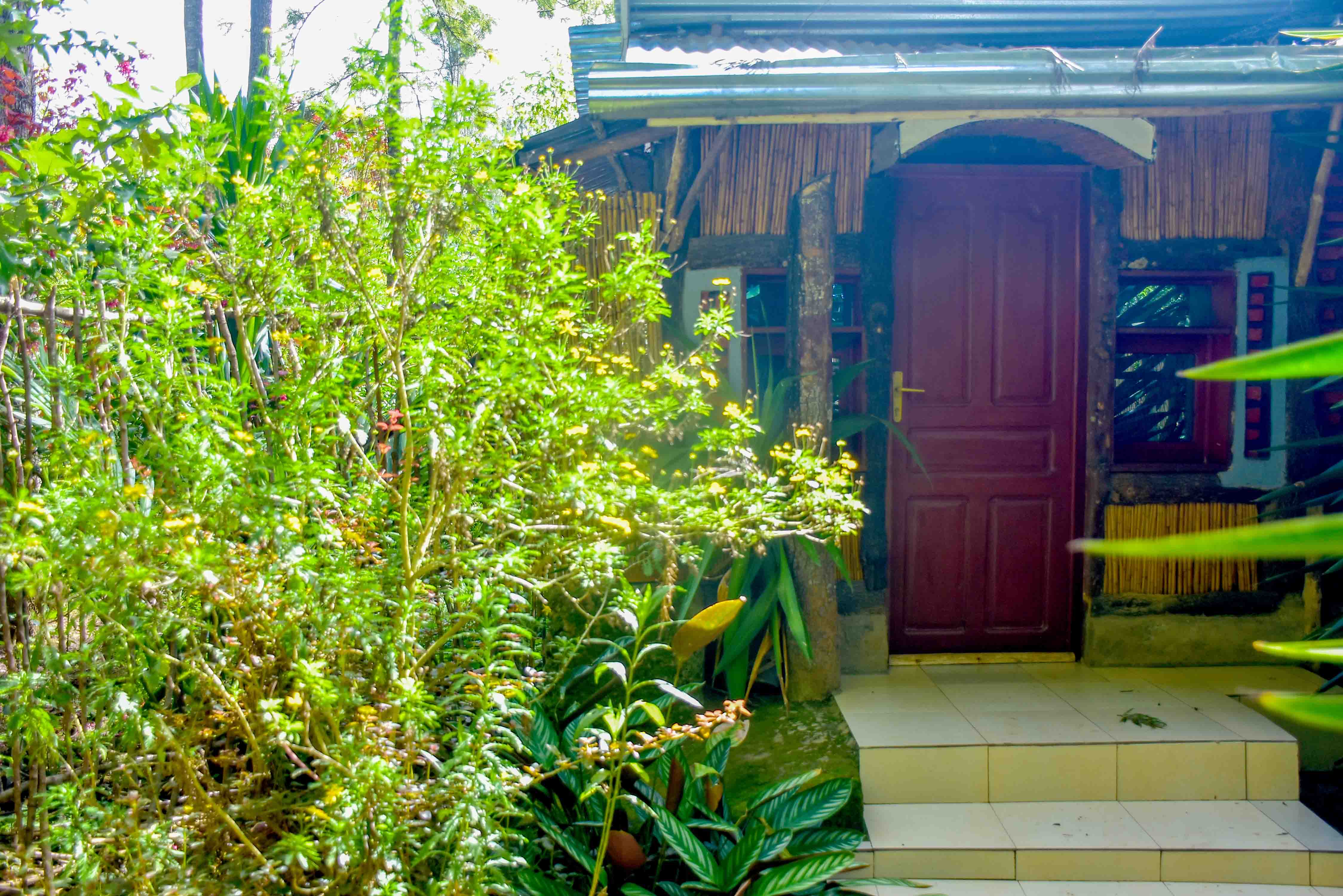 Fravan Eco Resort garden