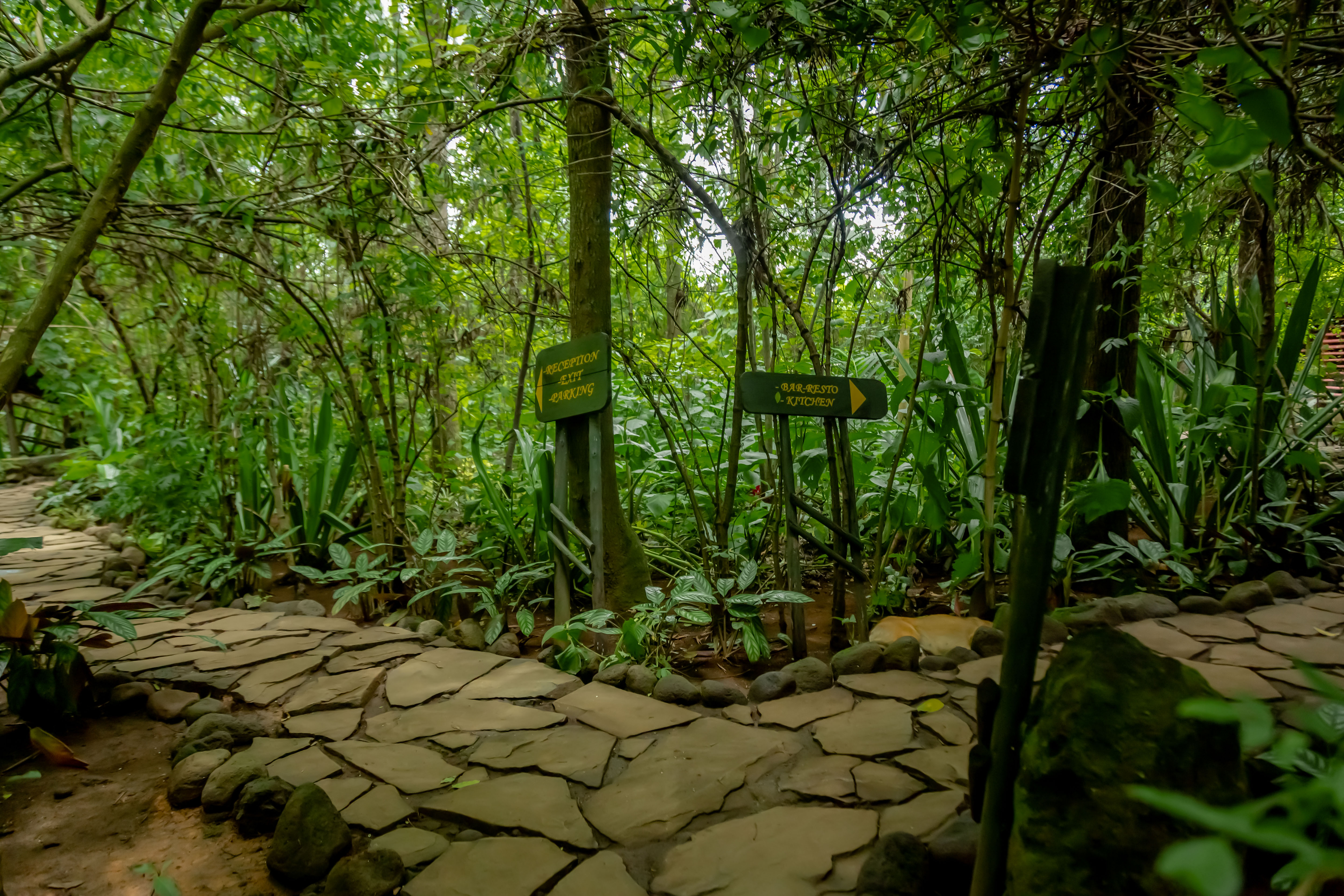 Tranquil Garden Space for Relaxation - Fravan Eco Resort